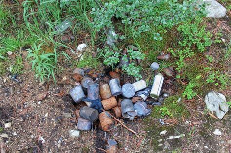 Garbage Thrown in Forest, Empty Bottles and Burnt Cans Scattered Around ...