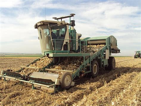 Custom Onion Harvesting Equipment - Elba, New York