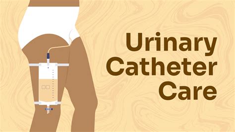 Urinary Catheters: Overview, Care & Assessment | Ausmed