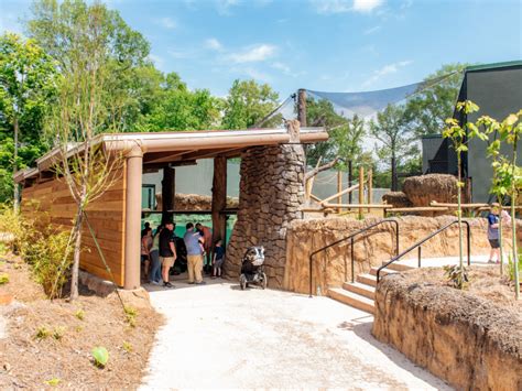 BREC’s Baton Rouge Zoo Opens West Africa-Inspired Exhibit - Baton Rouge ...