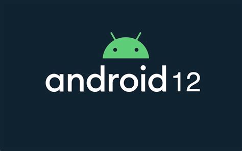 Android 12 features, enhancements leaked before launch - Android Community