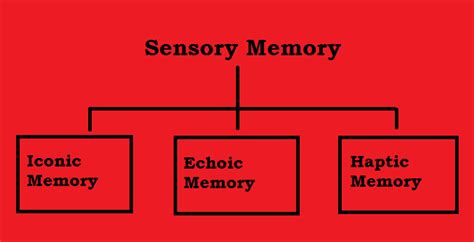 sensory memory - Psychestudy