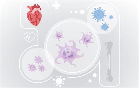 Hemabook Chapter 20: Understanding Immature Platelet Fraction and Its Applications - Mindray