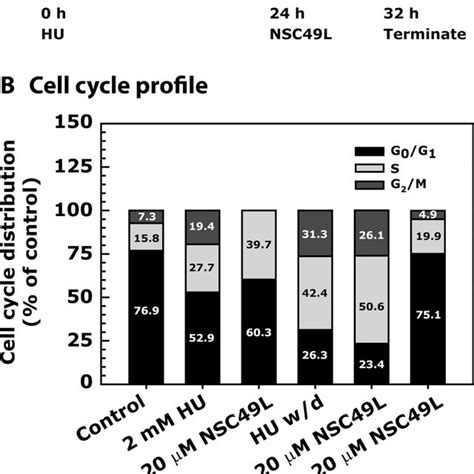 Cell cycle profile of HT29 cell line-treated with NSC49L and HU either ...