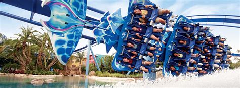 The Best Rides at SeaWorld Orlando: Our Top Picks | AT