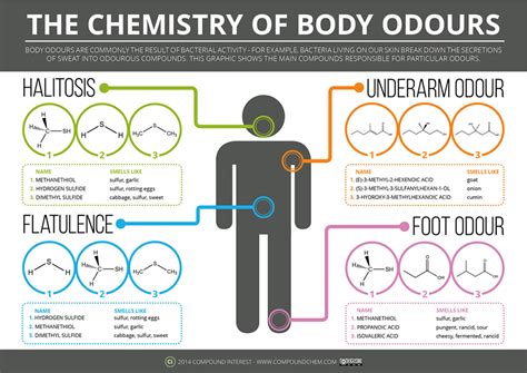 Rethinking odor control - Textile Technology Source