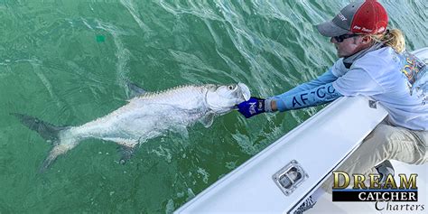 tarpon-fishing-season-report | Key West Fishing Report