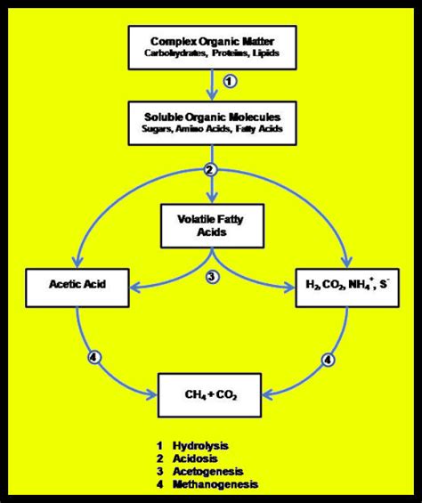 Processing Biomass Into Biogas – Farm Energy