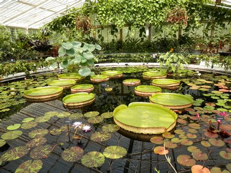 Royal Botanic Gardens at Kew - On The List