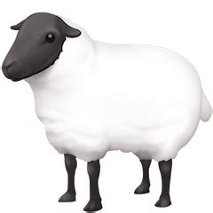 🐑 Ewe Emoji — Meaning, Copy & Paste