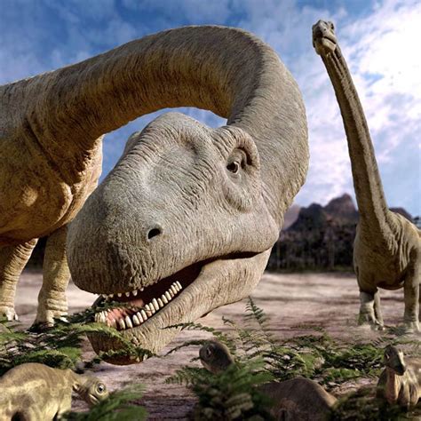 The largest dinosaurs – TOP 10 | DinoAnimals.com