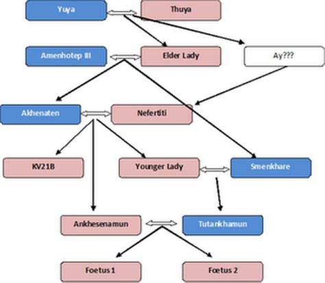 Family tree - Changing Roles And ContributionsOf Queens in Ancient Egypt