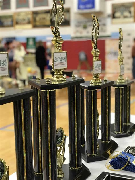 2020 Regional Rube Goldberg Machine Contest Results - Ripley County Community Foundation