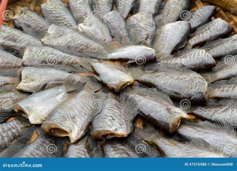 Dry fish stock photo. Image of dried, food, animal, fish - 47576980