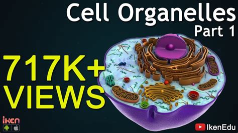 Cell Organelles - Part 1 | Animation Video | Iken Edu - YouTube