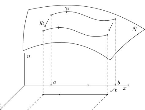 The integral curve γ 2 ∶ [a, b] → ¯ N represents an element of a family ...