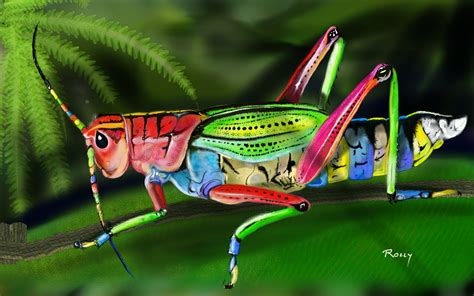 Rainbow Grasshopper by rollyb66 on DeviantArt