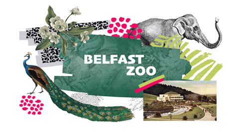 Belfast Zoo Map