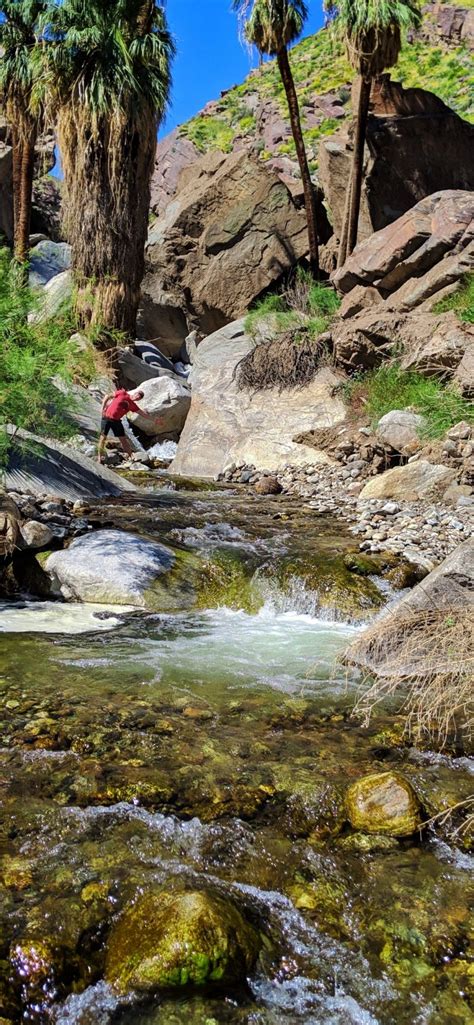 Hiking Palm Springs: Indian Canyons and the oasis in the desert