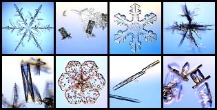 Snowflake Types