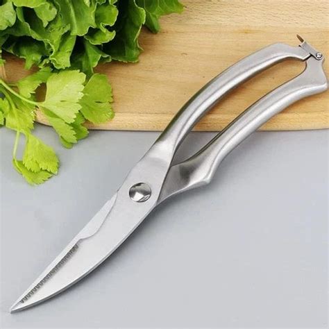 Stainless Steel Meat Scissors, Size: 6 x 1inch (L x W) at Rs 288/piece in Surat