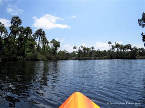 Weeki Wachee River - NatureCoaster.com