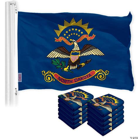 G128 - North Dakota ND State Flag 3x5FT 10 Pack 150D Printed Polyester ...