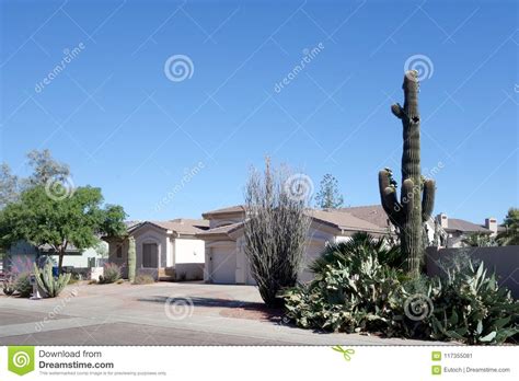 Front Yard in Phoenix, AZ stock image. Image of cacti - 117355081