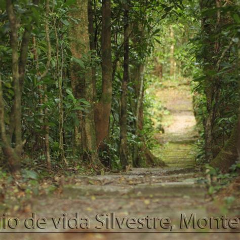 Monteverde Wildlife Refuge (Santa Elena): All You Need to Know