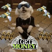 Pay Day Dog GIF by Justin - Find & Share on GIPHY