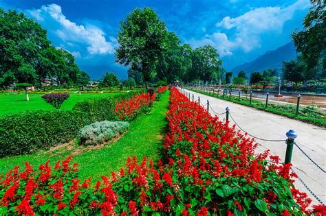 Book Pahalgam Trekking Tours | Pahalgam Tour Packages from Pune