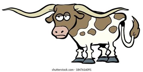 24,403 Longhorn Cows Images, Stock Photos & Vectors | Shutterstock