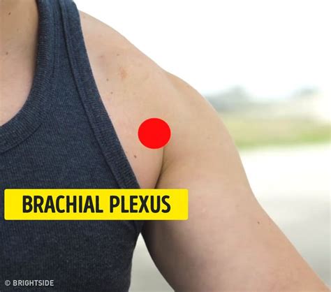 9 self-defense techniques that can save your life one day - Brachial plexus | FunMary | Self ...