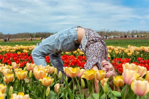 Holland Ridge Farms: The BIGGEST & BEST u-pick flower farm