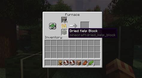 Top 5 uses of Kelp in Minecraft