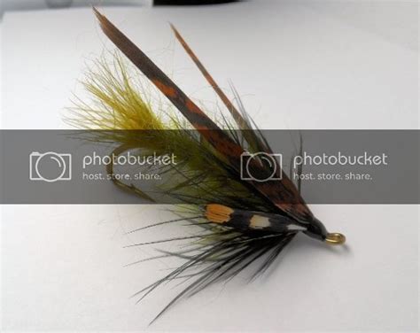 Misc Steelhead Stuff (dees, speys, "truder" types, nymphs) - The Fly Tying Bench - Fly Tying