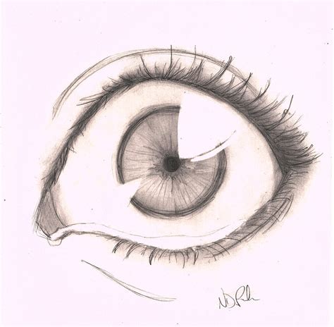 Left Eye Drawing by Nicole DePreker - Pixels