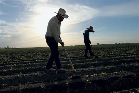 The High Cost of Cheap Labor - Modern Farmer