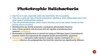 BACTERIAL PHOTOSYNTHESIS | PPT