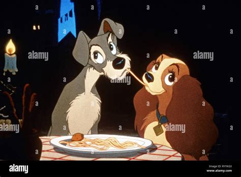 Lady And The Tramp Toughy