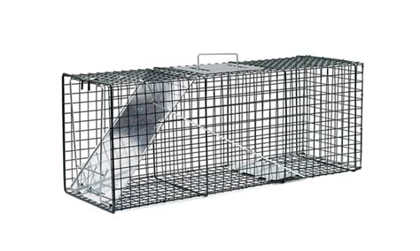 Humane Pest and Rodent Trap | Groupon Goods