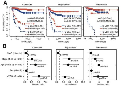 Naïve B cells associated with overall survival independent of clinical ...