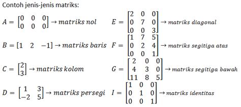 Contoh Soal Matriks Kolom - Gurunda