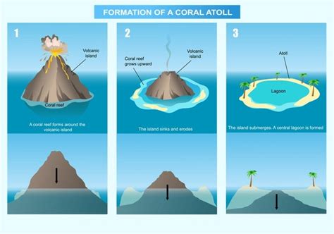 Atoll Formation: Over 6 Royalty-Free Licensable Stock Vectors & Vector Art | Shutterstock