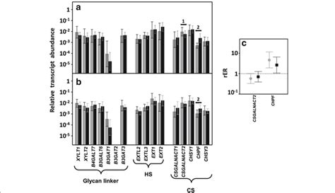 Transcription of genes encoding the glycosyltransferases involved in ...