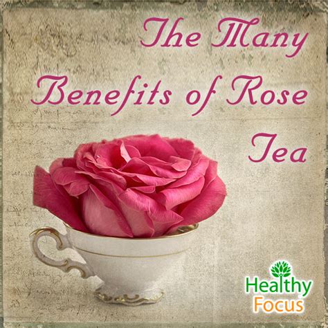 10 Science Backed Benefits of Rose Tea - Healthy Focus