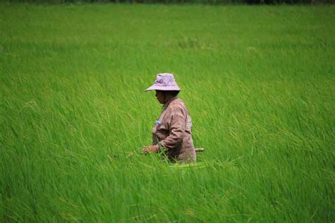 Women’s contributions to agriculture recognized