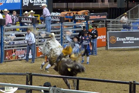 Rio Grande Valley Livestock Show - 12 Photos - Festivals - 1000 N Texas ...