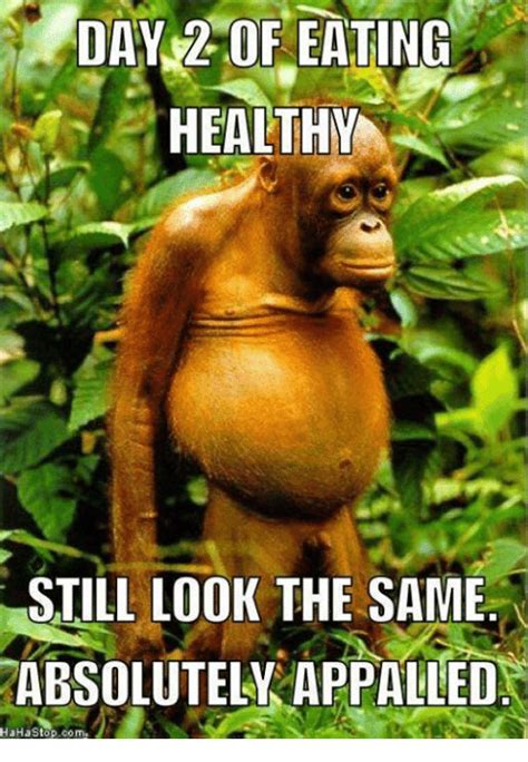 20 Funny Life Changing Eating Healthy Memes - SayingImages.com