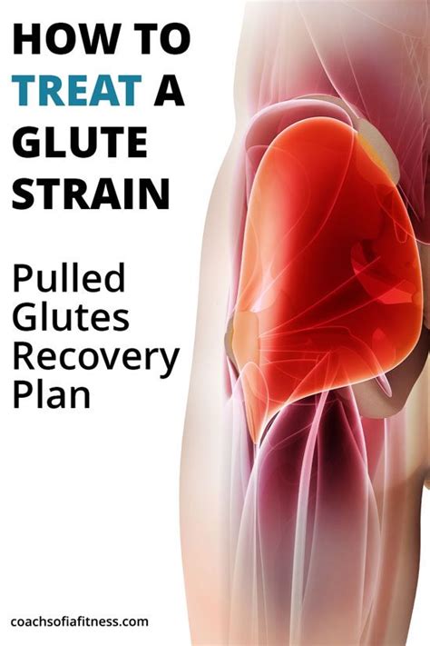 Pulled Glute Muscle Rehab Plan (Home Recovery) – An Tâm